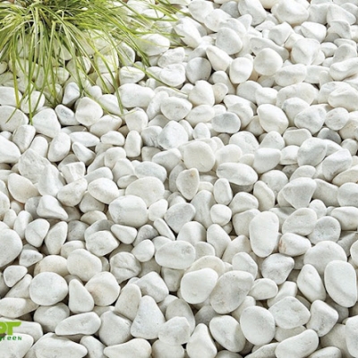 Đá Cuội Nhỏ Sân Vườn