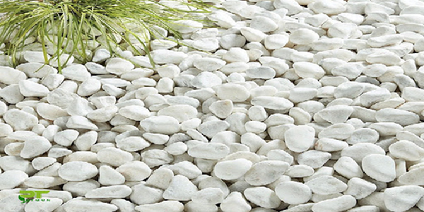 Chào Mừng Đến Với